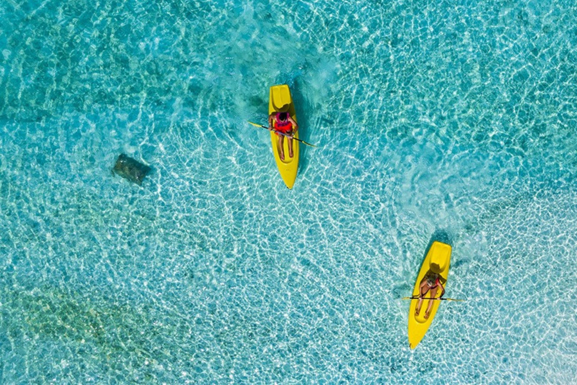 Kayaks