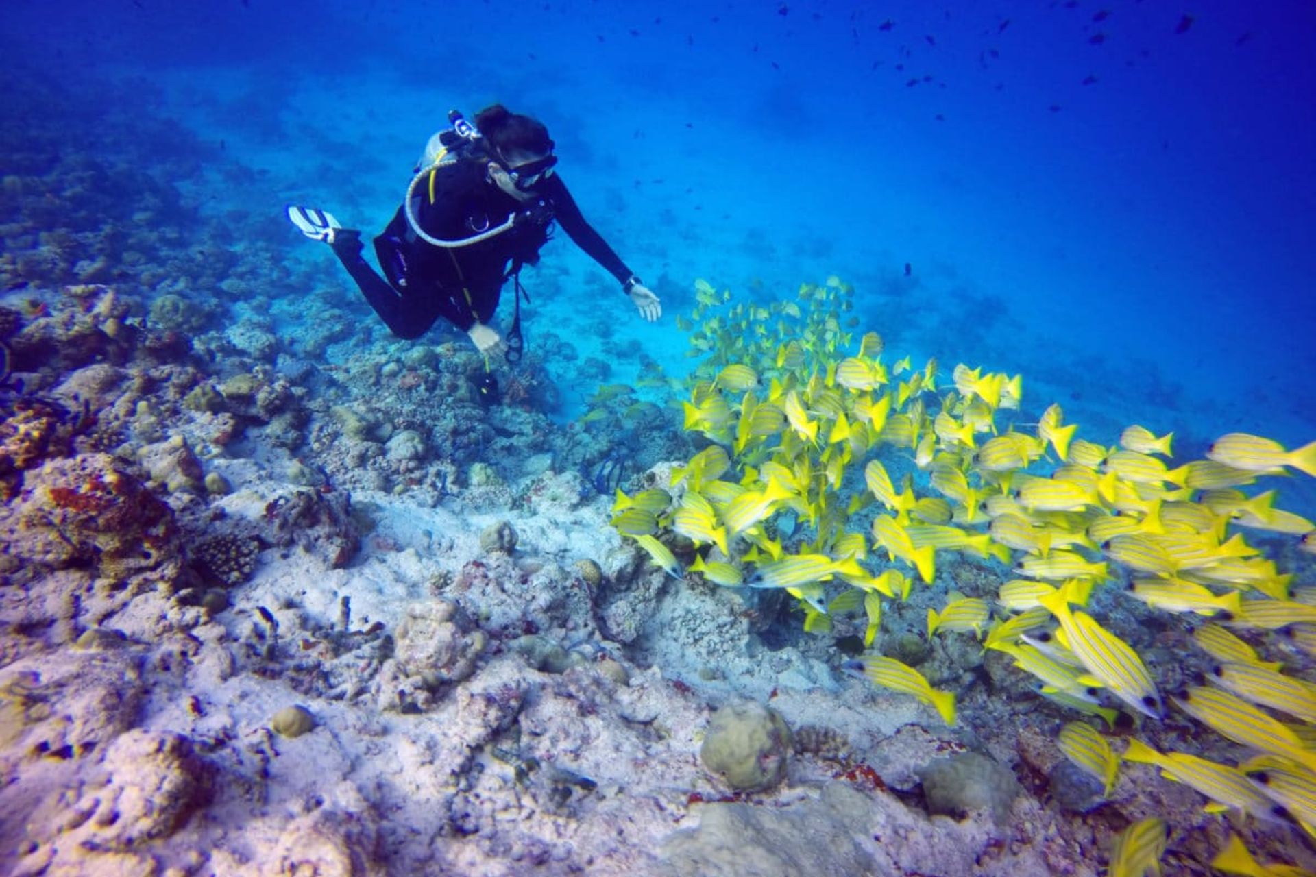 Soneva-Jani-Diving